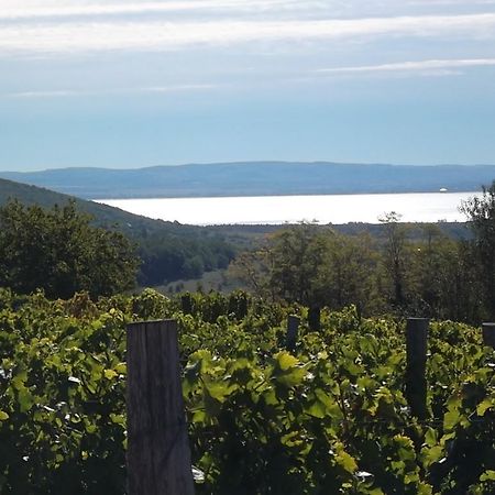 Juhfark Fogado Es Borhaz Bed & Breakfast Balatoncsicso ภายนอก รูปภาพ
