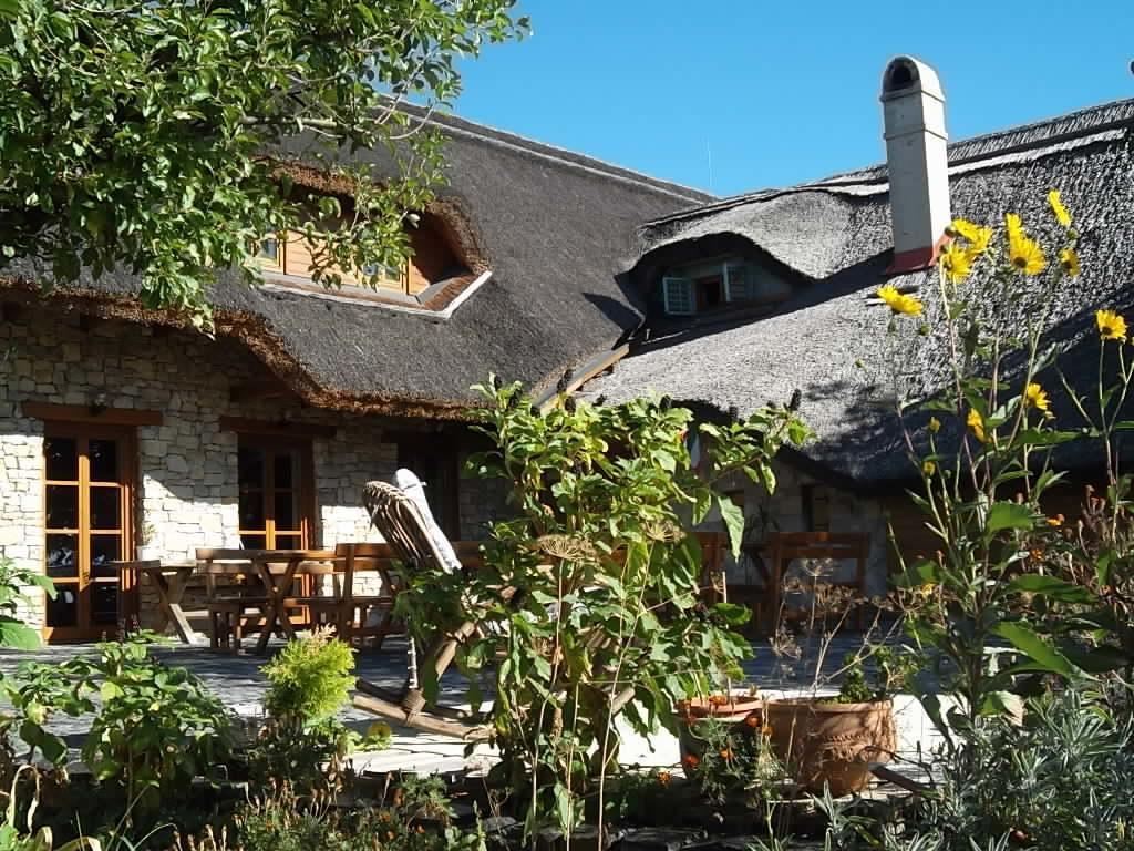 Juhfark Fogado Es Borhaz Bed & Breakfast Balatoncsicso ภายนอก รูปภาพ